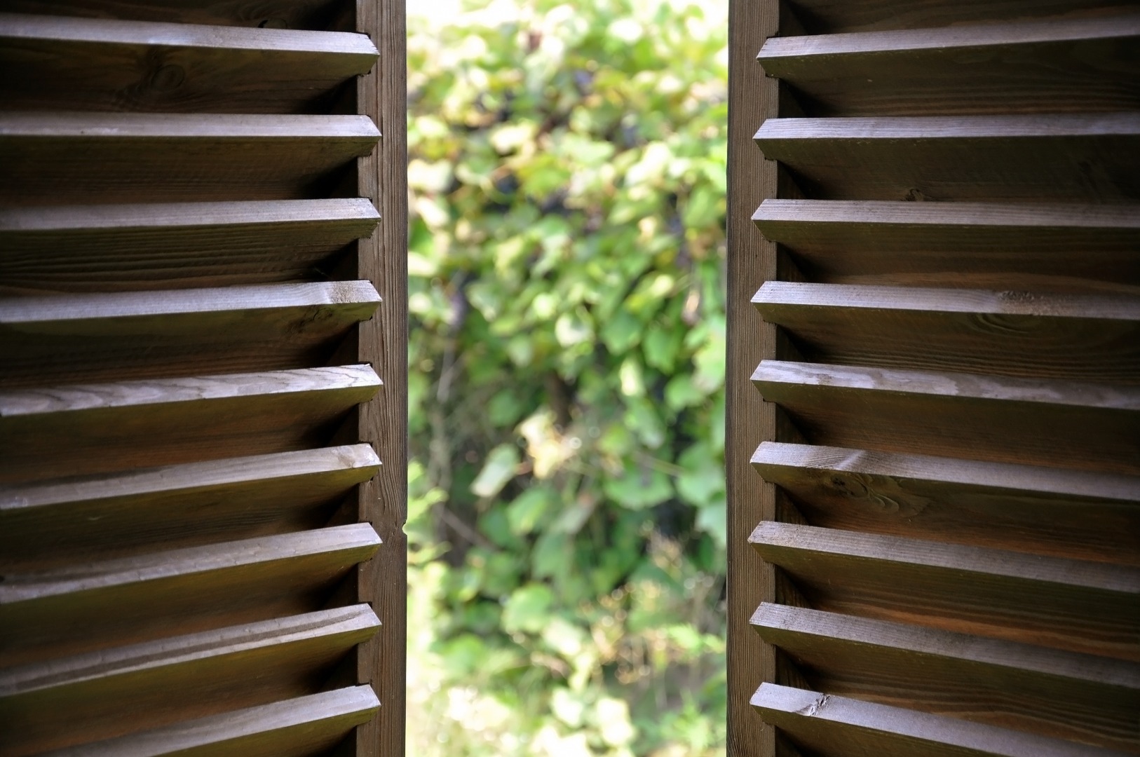 Get ready for summer: why timber shutters are your secret to staying cool and comfortable